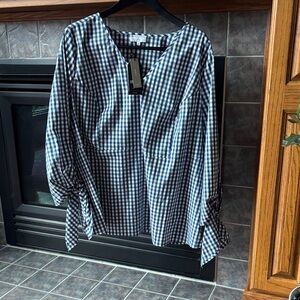 J. Crew Blue and White Gingham V-Neck Blouse